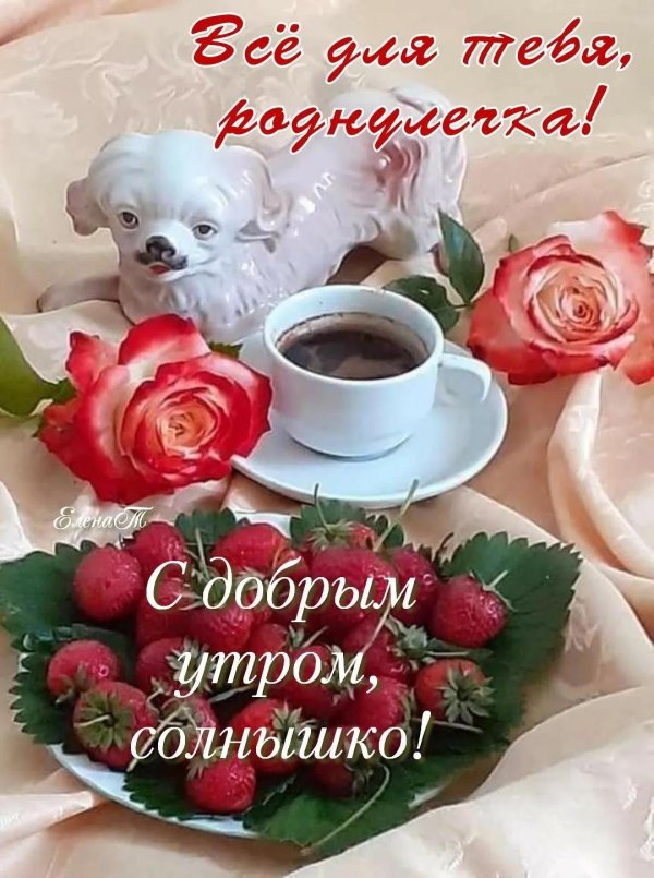 с добрым утром женщина