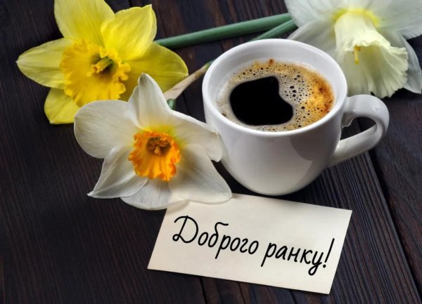 добрий ранок