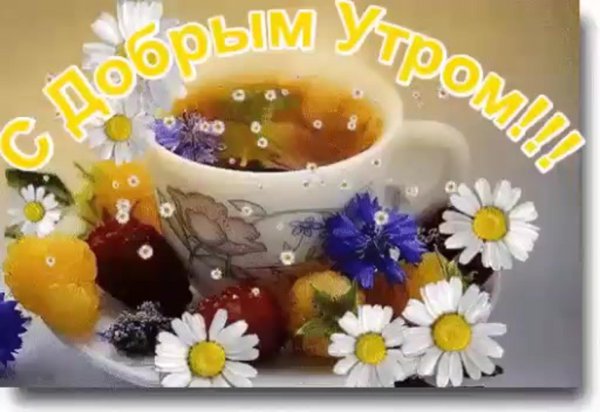 доброго времени суток