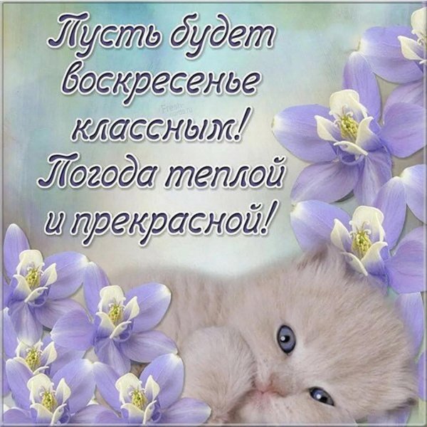 классного воскресенья