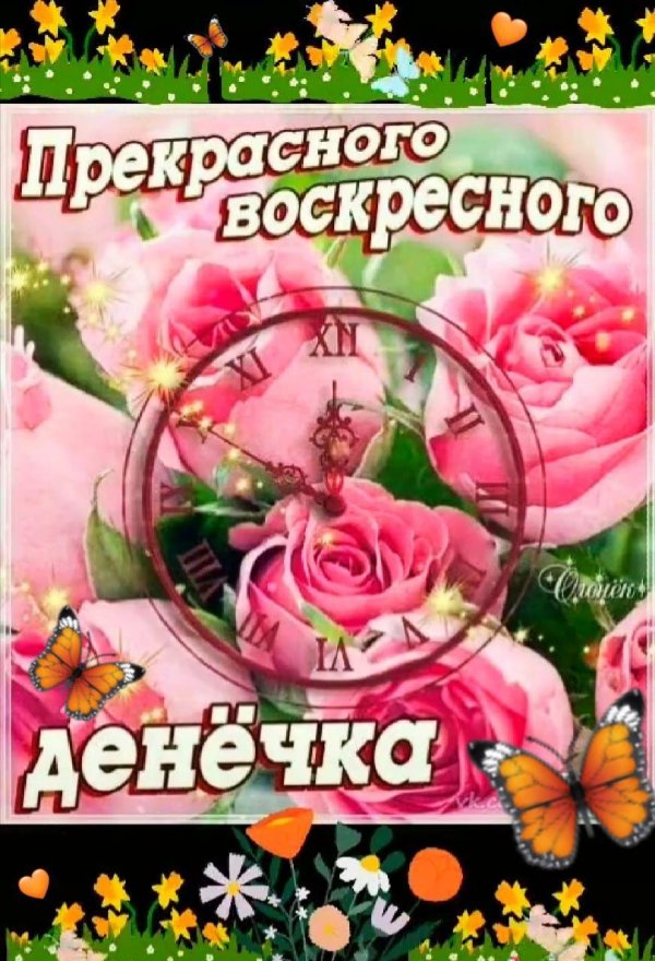 прекрасного воскресного дня