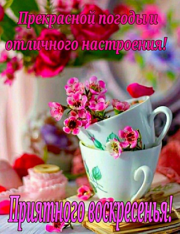 приятного воскресения