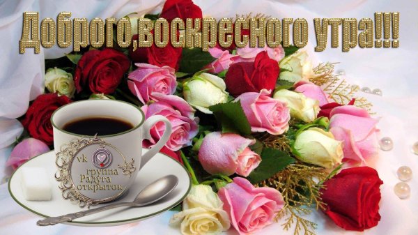 красивая открытка с добрым воскресным утром