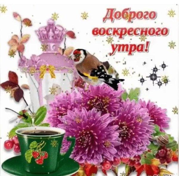 с добрым воскресный утром