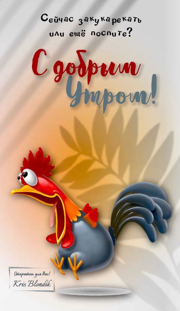 доброе утро добра
