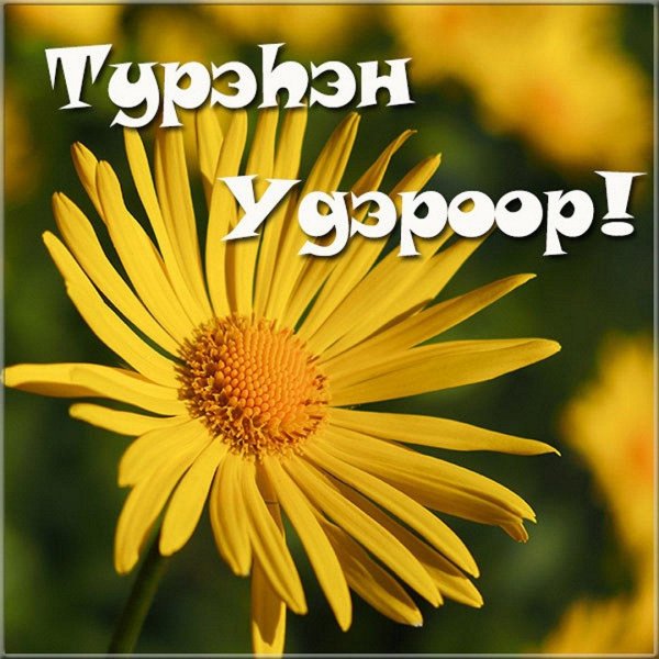 дороникум восточный