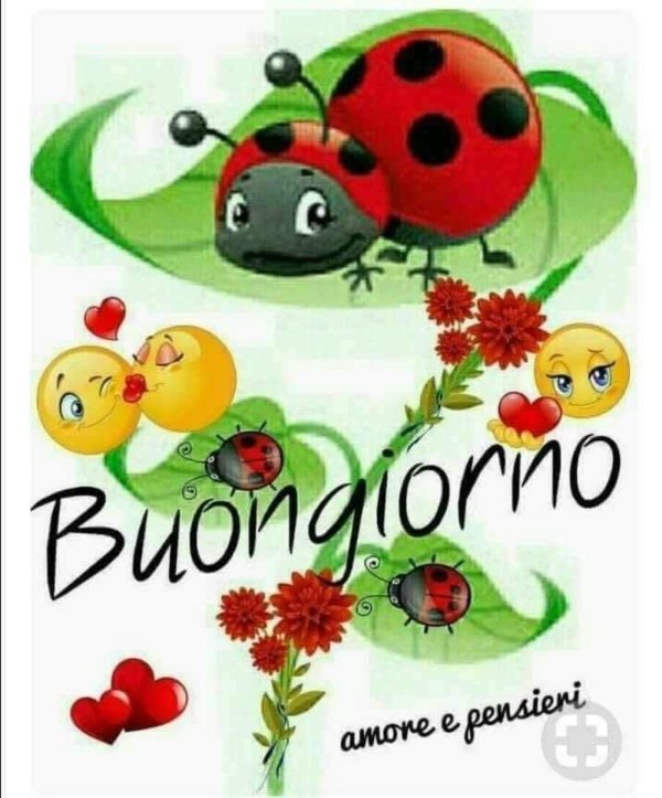 buona giornata
