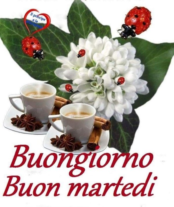 buongiorno buon sabato божья коровка