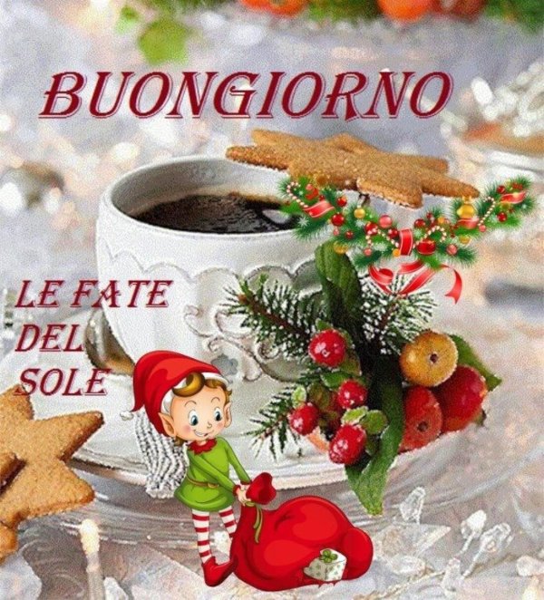 buongiorno зимние