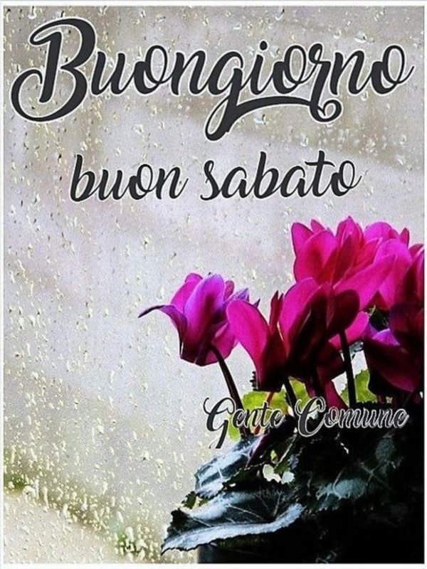 открытка buon sabato