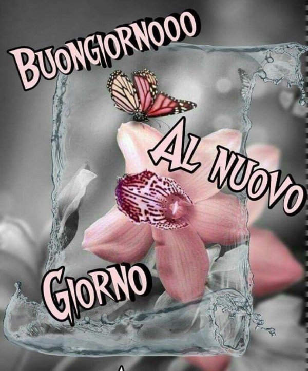 buona giornata
