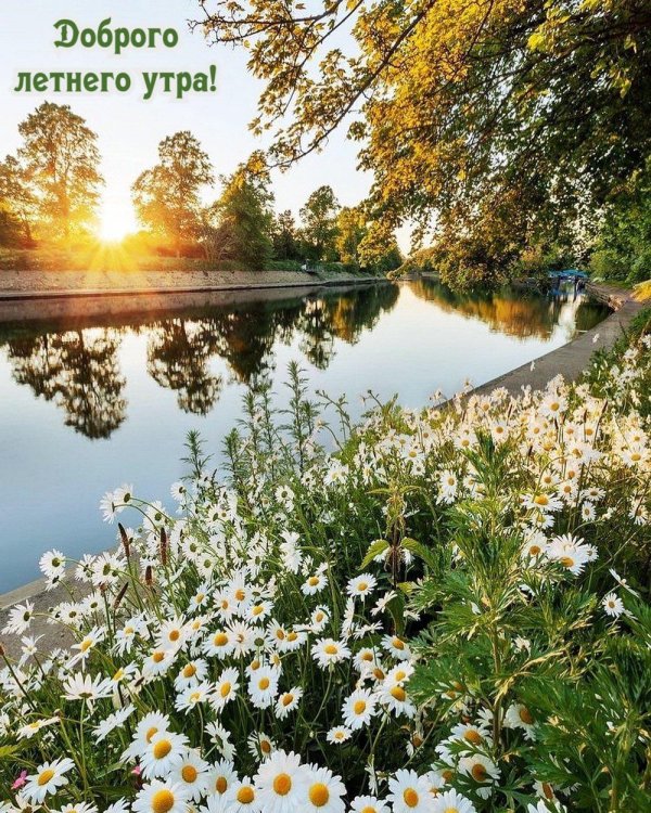 пейзажи летние