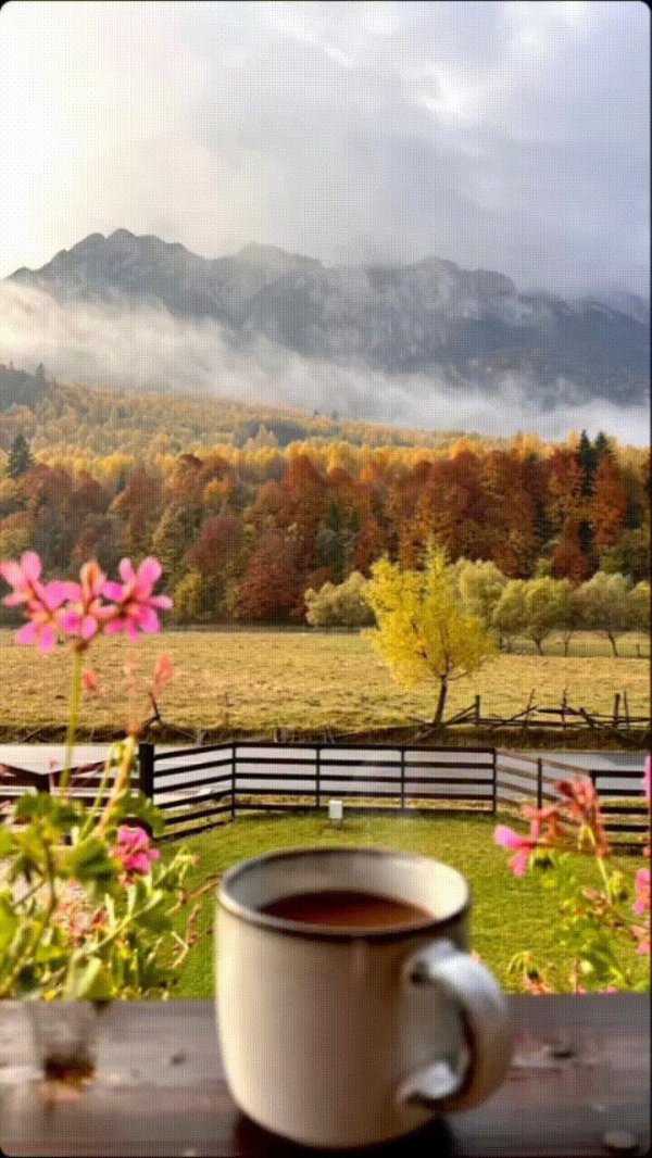 доброго сентябрьского утра