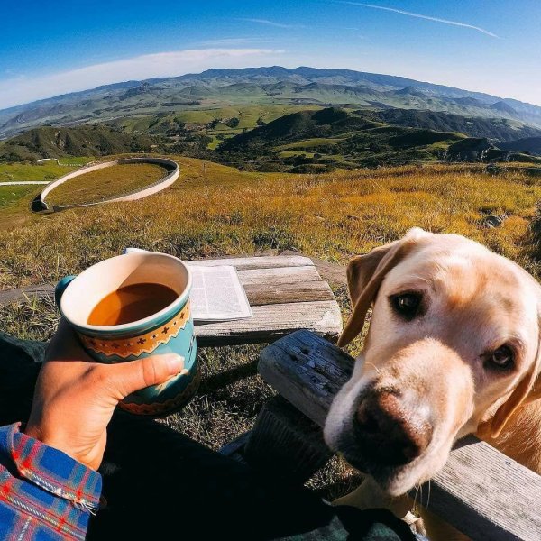 доброе утро путешественники