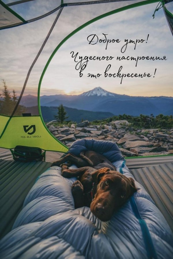 вид из палатки