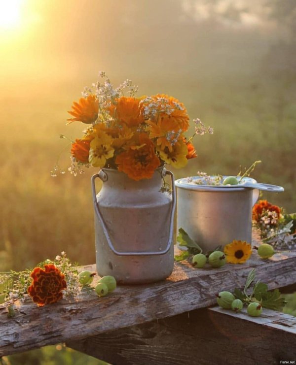 натюрморт осени