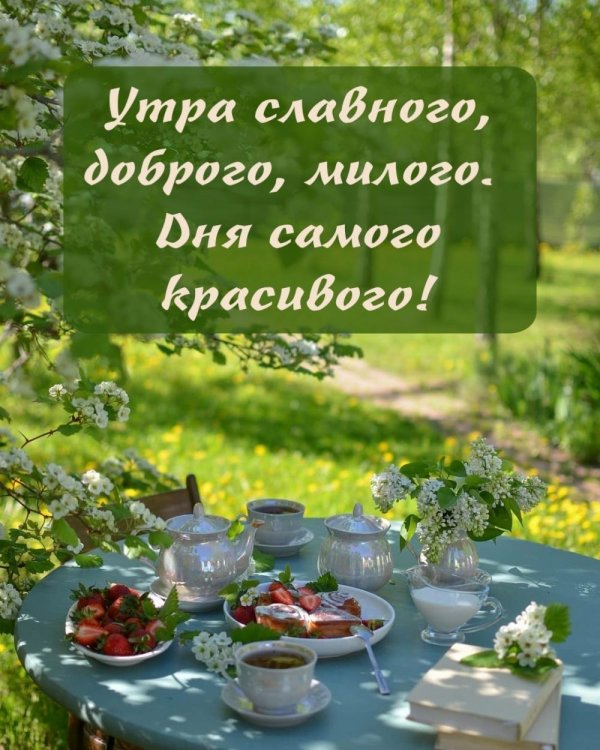 доброе августовское утро