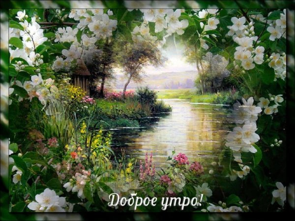 красивые поздравления с добрым утром природа