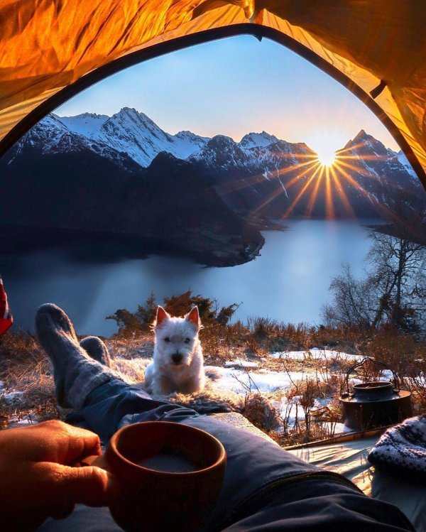 вид из палатки