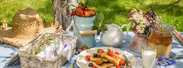 летний пикник