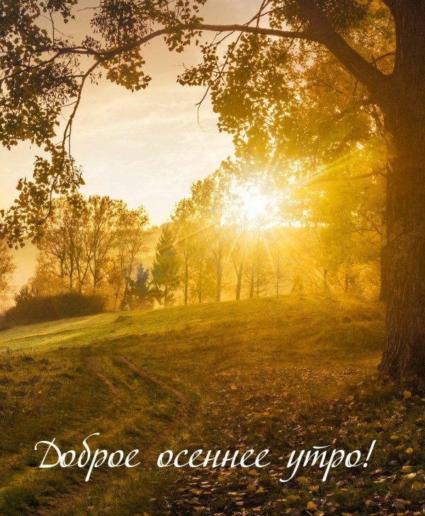 солнечное утро