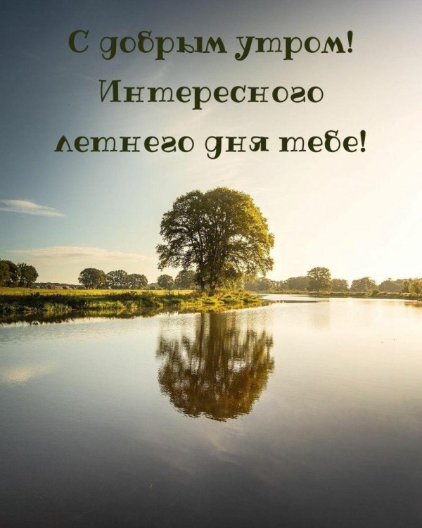 открытки с добрым утром красивые необычные с природой