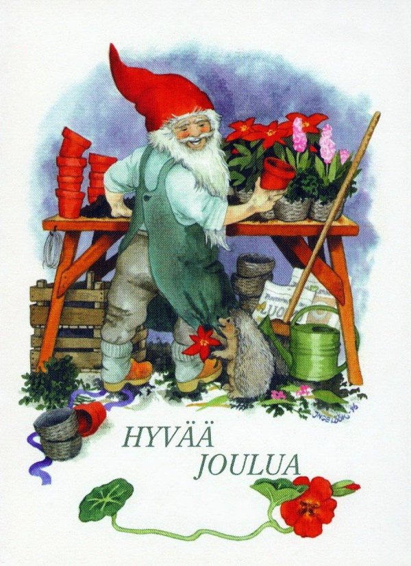 финская художница инге лоок