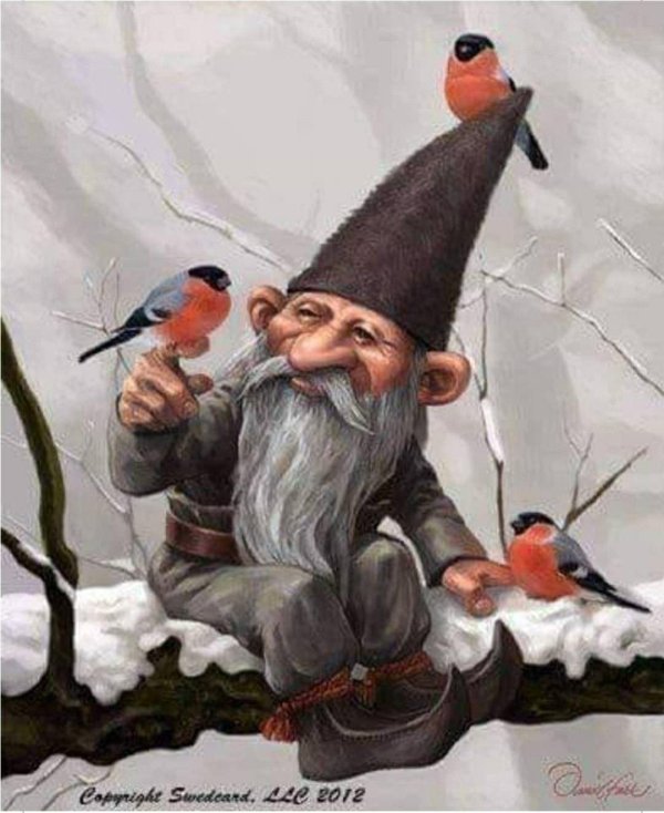 сказочные гномы