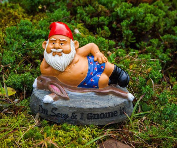 прикольные садовые гномы