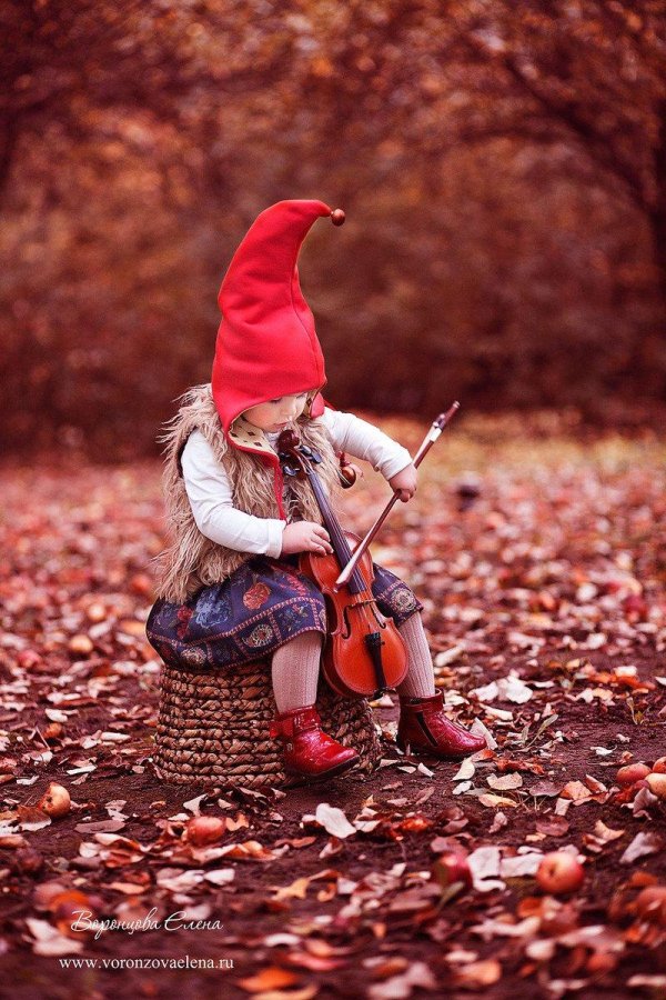 сказочные гномики