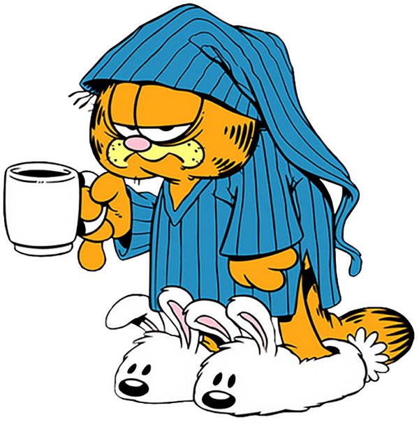 garfield cat