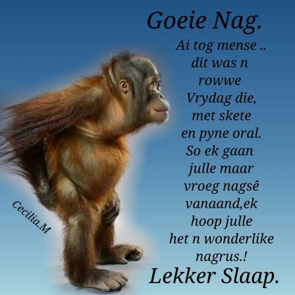 прикольные обезьяны