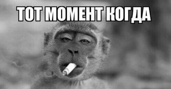 обезьянка с сигаретой