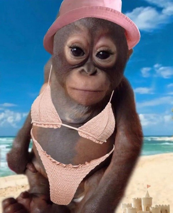 обезьянка смешная