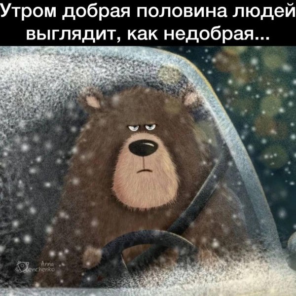 медведи картина