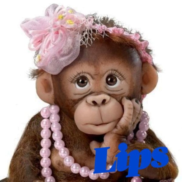 asi шимпанзе