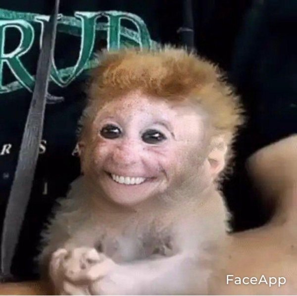 обиженная обезьянка