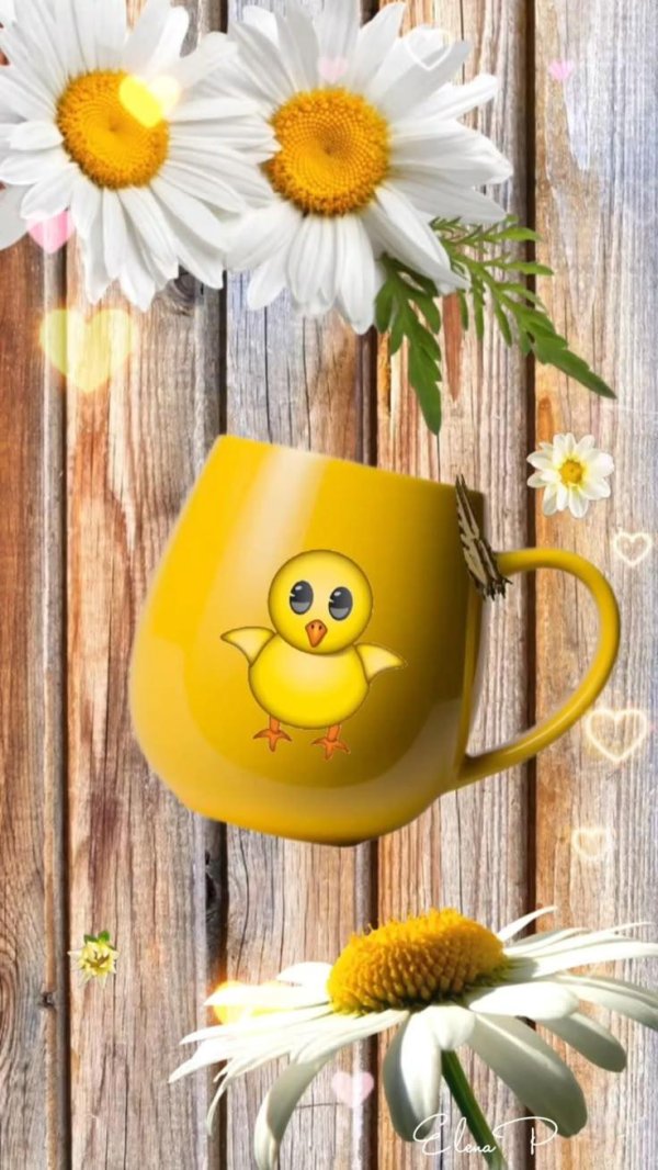 добрый день доброе утро