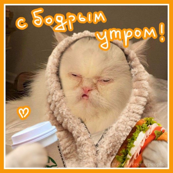 смешного доброго утра