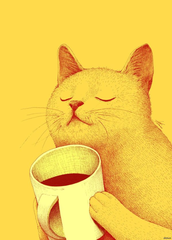 Кофе и котики