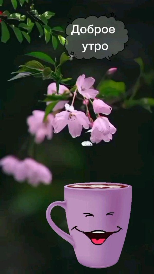 доброго утра всем