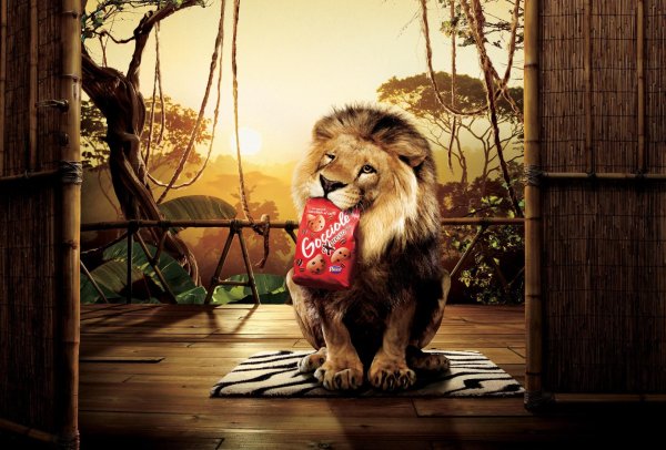 открытка со львом