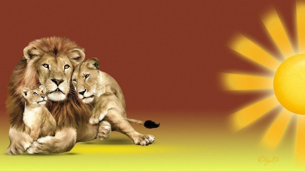 картина по номерам львиная семья