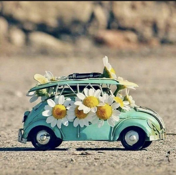 автомобиль с цветами