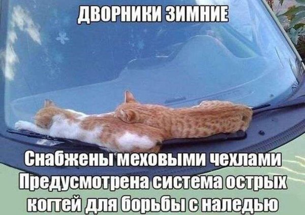 автомобильные приколы