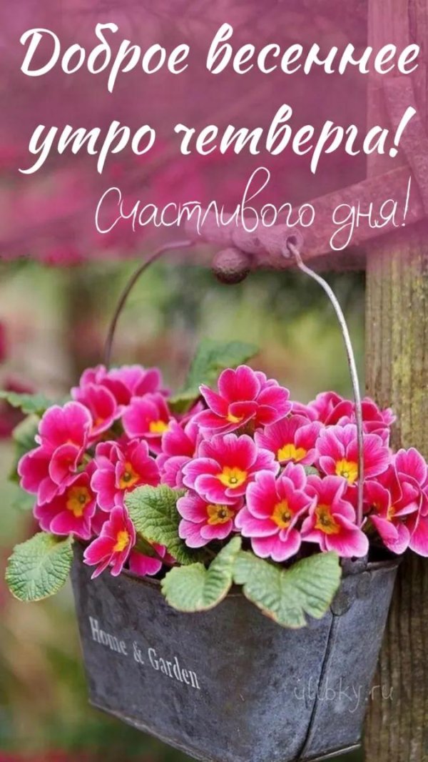 доброго весеннего утра четверга