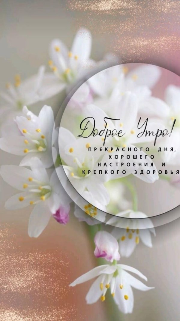 добра утра