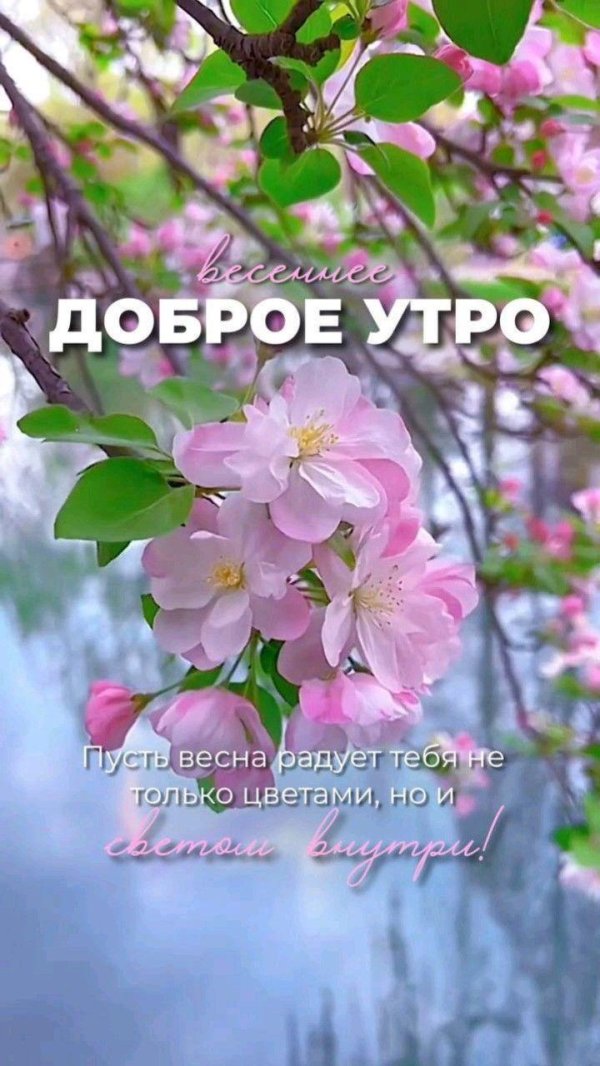 весеннего доброго утра