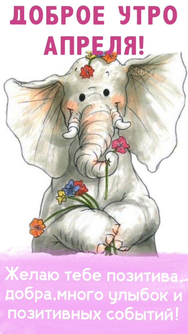 милые открытки