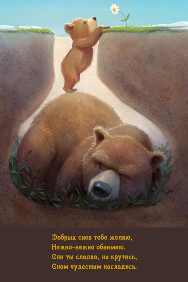сон медведя